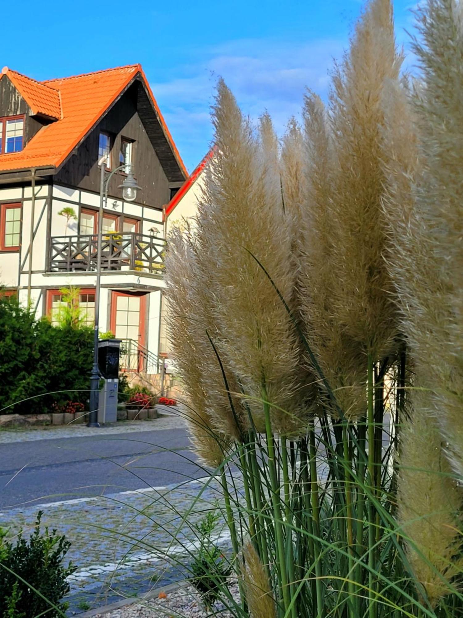 Dom Aptekarza Apartamento Ustka Exterior foto